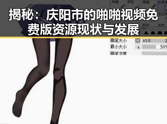 揭秘：庆阳市的啪啪视频免费版资源现状与发展