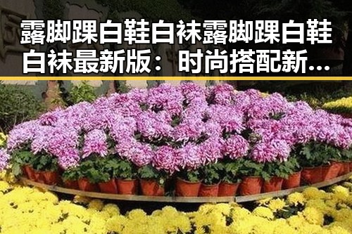 露脚踝白鞋白袜露脚踝白鞋白袜最新版：时尚搭配新趋势