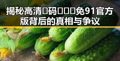 揭秘高清🈚码🔞❌♋免91官方版背后的真相与争议